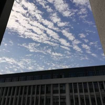 铸剑师小米版下载